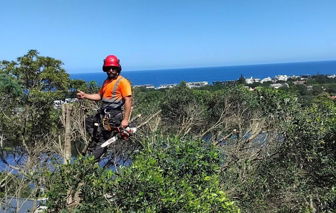 SGD arborist in helmet and hi-vis trimming coastal bush above the sea near Mossel Bay