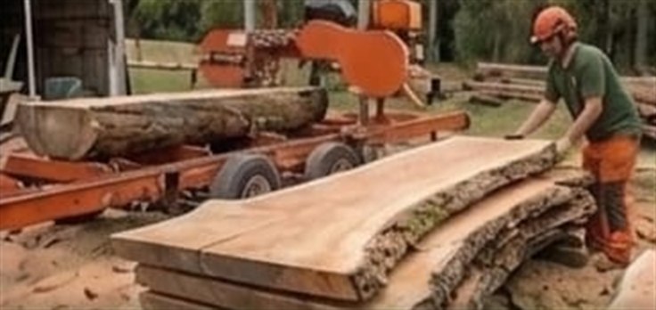 Live edge slabs being milled from a felled trunk on a portable sawmill