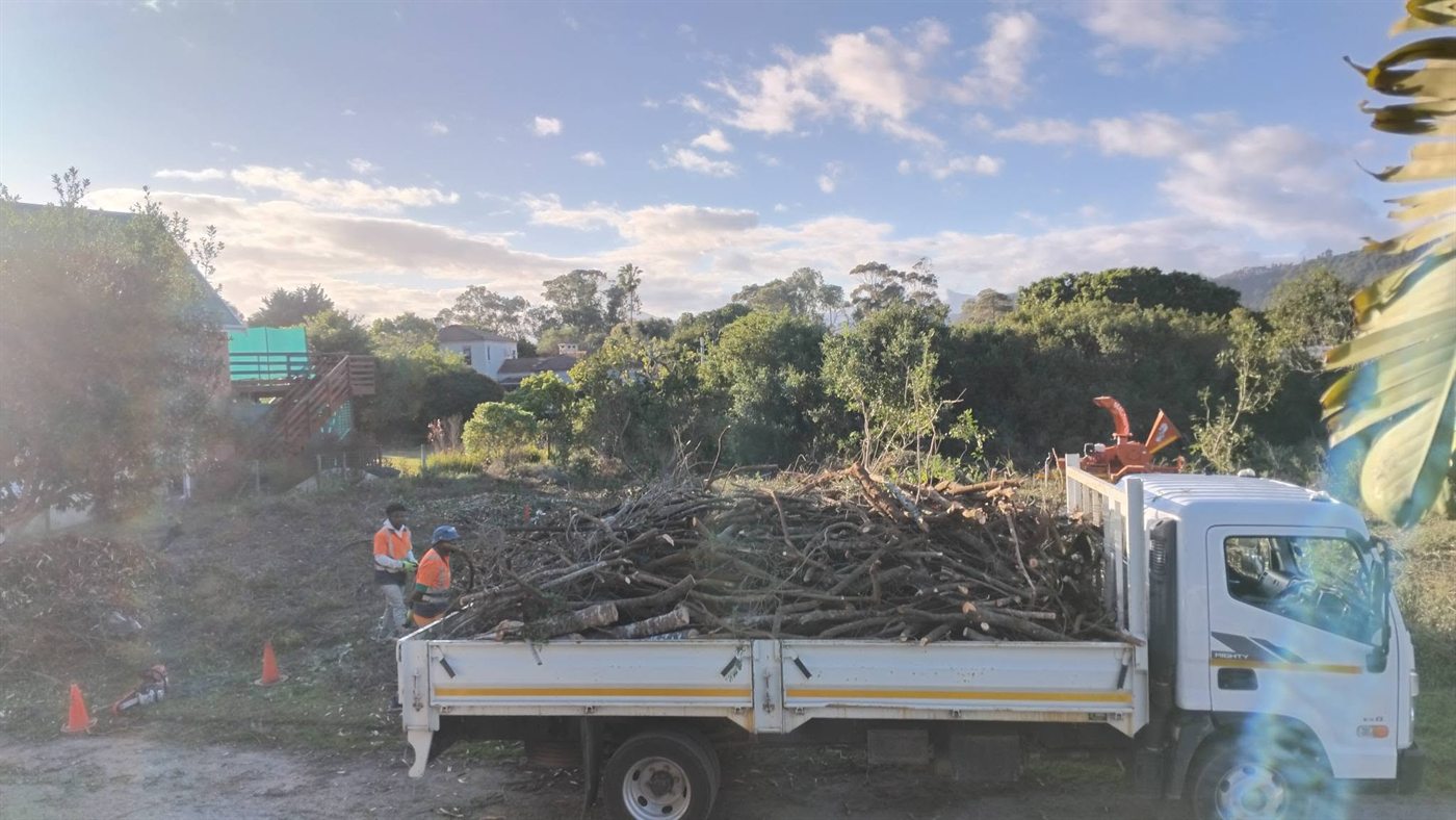 Crew loading cut timber onto a flatbed truck with the chipper alongside