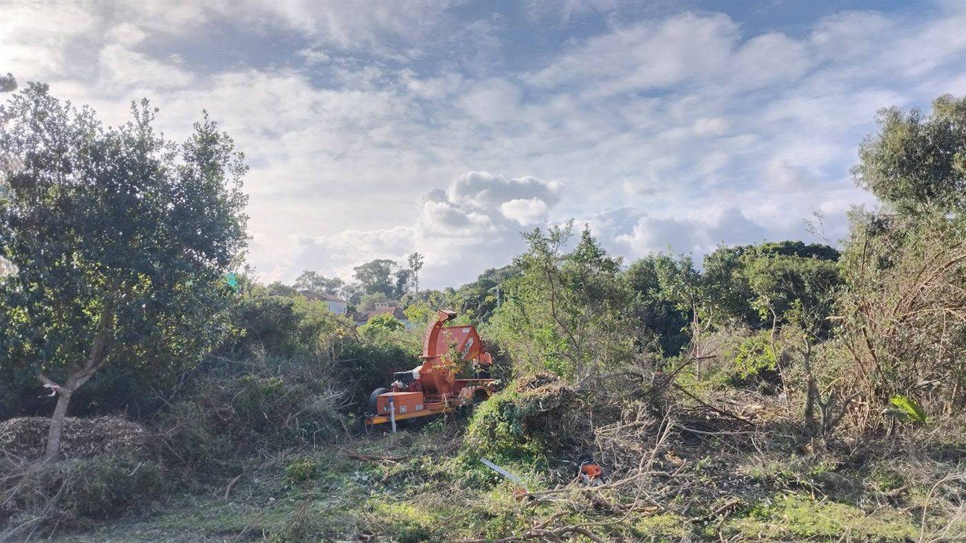Wood chipper working on a plot being cleared of dense bush